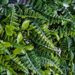 Искусственный фитомодуль "Папоротник", 40*60 см (9089-007)