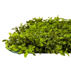 Искусственный фитомодуль "Самшит", 40*60 см (9089-008)