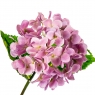 Квітка штучна "Гортензія Papillon", рожева (8100-038)