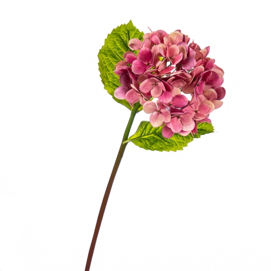 Квітка штучна "Гортензія Papillon", фуксія (8100-039)
