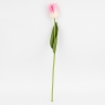 Штучний тюльпан з ефектом живого дотику, кремово-рожевий, 45 см (2025-017)