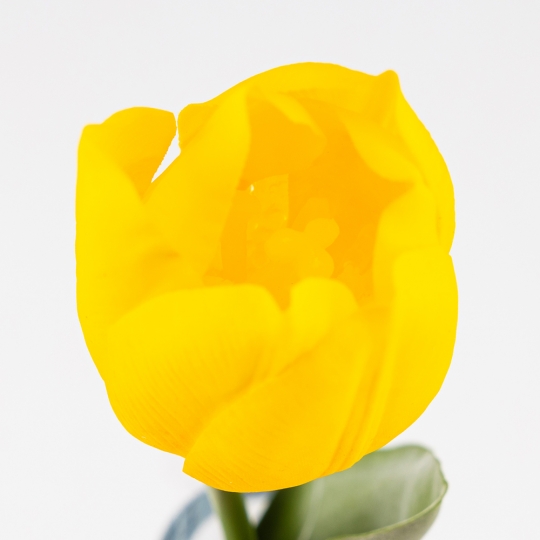Штучний тюльпан з ефектом живого дотику, жовтий, 45 см (2025-018)