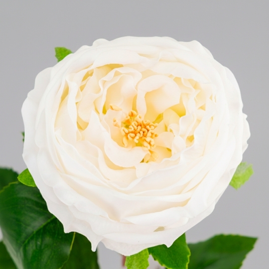 Штучна піоновидна троянда з ефектом живого дотику, біла, 53 см (2025-026)