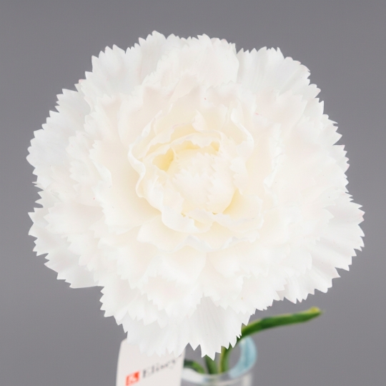 Штучна гвоздика з ефектом живого дотику, біла, 49 см (2025-028)