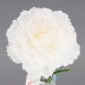 Штучна гвоздика з ефектом живого дотику, біла, 49 см (2025-028)