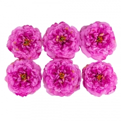 Головка пиона, темно-сиреневая, 17 см (8502-010/3)