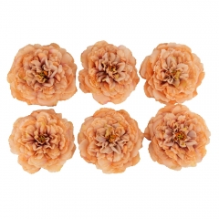 Головка пиона, бежевая, 17 см (8502-010/5)