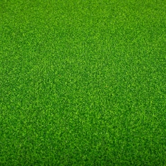 Искусственная трава, 1 м. кв. (9272-002)