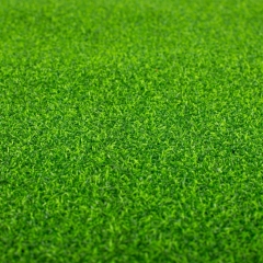 Искусственная трава, 1 м. кв. (9272-002)