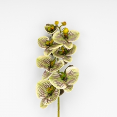 Латексна орхідея, зелено-кремова, 76 см ВРЯТОВАНА ПОЗИЦІЯ (9259-085)