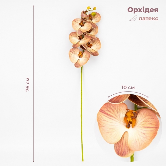 Латексна орхідея, кремово-рожева, 76 см ВРЯТОВАНА ПОЗИЦІЯ (9259-086)