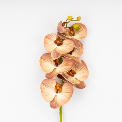 Латексна орхідея, кремово-рожева, 76 см ВРЯТОВАНА ПОЗИЦІЯ (9259-086)