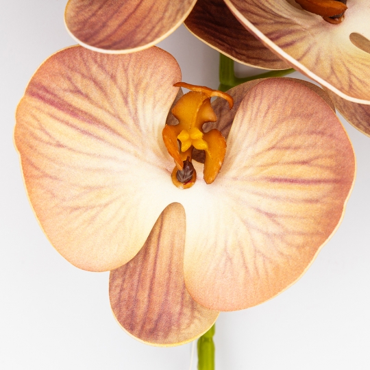 Латексна орхідея, кремово-рожева, 76 см ВРЯТОВАНА ПОЗИЦІЯ (9259-086)