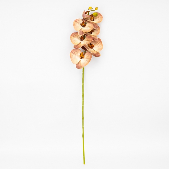 Латексна орхідея, кремово-рожева, 76 см ВРЯТОВАНА ПОЗИЦІЯ (9259-086)