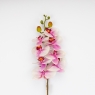 Латексна орхідея, біло-рожева, 86 см ВРЯТОВАНА ПОЗИЦІЯ (9259-103)