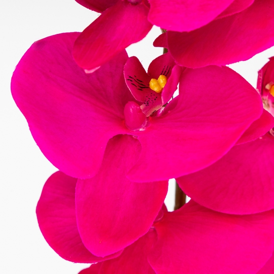 Латексна орхідея, яскраво-рожева, 86 см ВРЯТОВАНА ПОЗИЦІЯ (9259-104) Латексна орхідея, яскраво-рожева, 86 см ВРЯТОВАНА ПОЗИЦІЯ (9259-104)