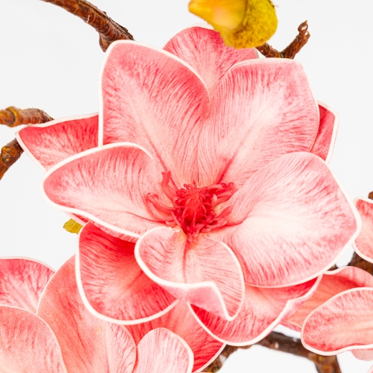 Латексна магнолія, ніжно-рожева, 75 см ВРЯТОВАНА ПОЗИЦІЯ (9259-109) Латексна магнолія, ніжно-рожева, 75 см ВРЯТОВАНА ПОЗИЦІЯ (9259-109)