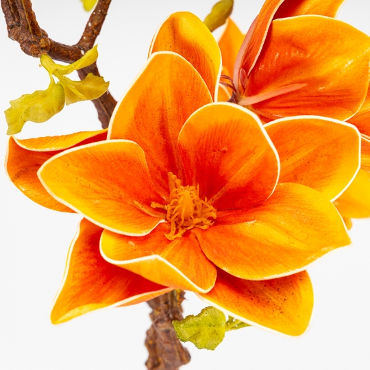 Латексна магнолія, помаранчева, 75 см ВРЯТОВАНА ПОЗИЦІЯ (9259-110) Латексна магнолія, помаранчева, 75 см ВРЯТОВАНА ПОЗИЦІЯ (9259-110)