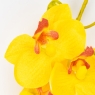 Латексна орхідея, жовта, 72 см ВРЯТОВАНА ПОЗИЦІЯ (9259-137)