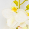 Латексна орхідея, біла, 72 см ВРЯТОВАНА ПОЗИЦІЯ (9259-138)