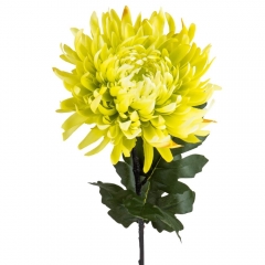 Хризантема "Вдохновение", зеленая (2000-074GN)