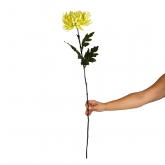 Хризантема "Вдохновение", зеленая (2000-074GN)