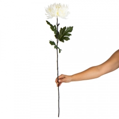 Хризантема "Серебряный шелк", белая (2000-078WT)