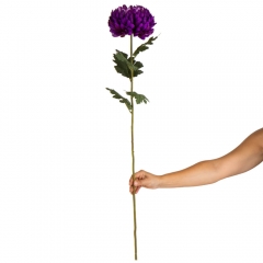 Хризантема "Пурпурная лавина", фиолетовая (2000-080PL)