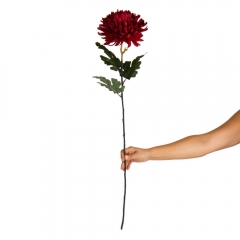 Хризантема "Красный гранат", красная (2000-082RD)