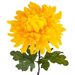 Хризантема "Солнечный бриз", желтая (2000-083YL)