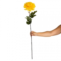 Хризантема "Солнечный бриз", желтая (2000-083YL)