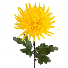 Хризантема "Теплый лучик", желтая (2000-085YL)