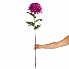 Хризантема "Аметистовый вдох", фиолетовая (2000-086PL)