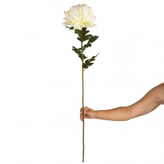 Хризантема "Золотая звезда", белая (2000-087WT)