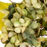 Квітка штучна "Гортензія", салатова (2002-001/GREEN)