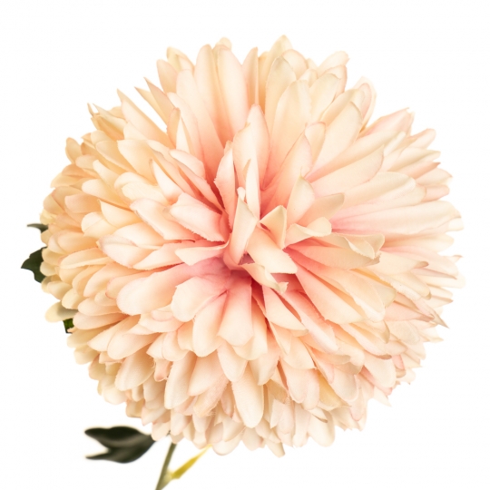 Квітка "Хризантема ніжно-рожева" (2002-003/LIGHTPINK)