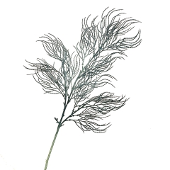 Ветка ивы волнистая серо-голубая искусственная (8408-040)
