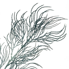 Ветка ивы волнистая серо-голубая искусственная (8408-040)