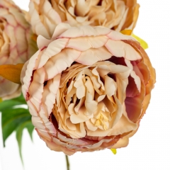 Букет "Пион с 3-мя бутонами" персиковый (8114-017)