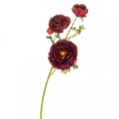 Букет "Ранункулюс" бордовый (8114-020)
