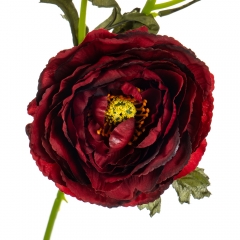 Букет "Ранункулюс" бордовый (8114-020)