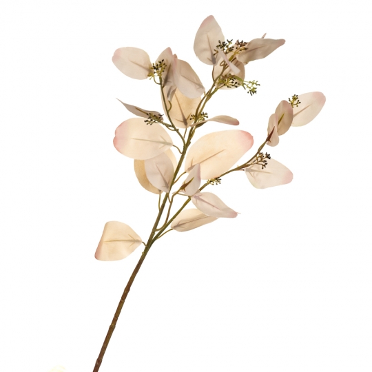 Букет "Сухоцвіт з ніжно-білим листям" (8114-022)