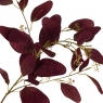Букет "Сухоцвіт з бордовим листям" (8114-023)