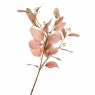Букет "Сухоцвіт з пастельно-рожевим листям" (8114-024)