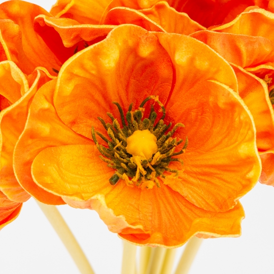 Букет маків, 7 бутонів, помаранчевий, 35 см ВРЯТОВАНА ПОЗИЦІЯ (9259-078)