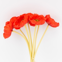 Букет маков, 7 бутонов, красный, 35 см СПАСЕННАЯ ПОЗИЦИЯ (9259-082)