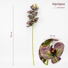 Латексна орхідея, зелено-бордова, 76 см ВРЯТОВАНА ПОЗИЦІЯ (9259-084)