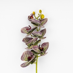 Латексна орхідея, зелено-бордова, 76 см ВРЯТОВАНА ПОЗИЦІЯ (9259-084)