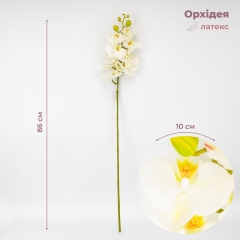 Латексная орхидея, кремовая, 86 см СПАСЕННАЯ ПОЗИЦИЯ (9259-105)