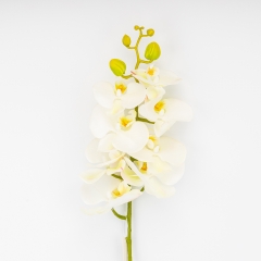 Латексная орхидея, кремовая, 86 см СПАСЕННАЯ ПОЗИЦИЯ (9259-105)